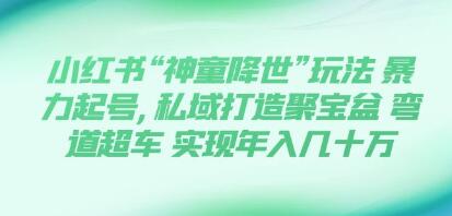 小红书“神童降世”玩法，暴力起号,私域打造聚宝盆，弯道超车，0基础玩转育婴法则