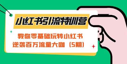 小红书引流特训营：教你零基础玩转小红书，逆袭百万流量大咖