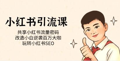 小红书引流培训课程：共享小红书流量密码，改造小白逆袭百万大咖