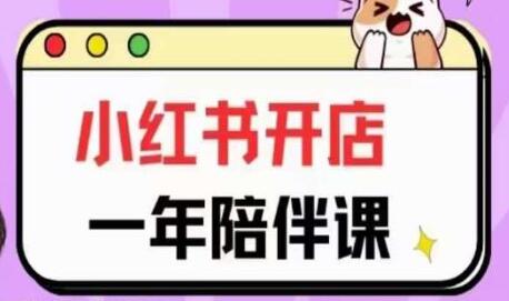 小红书开店一年陪伴课，从0到1玩赚小红书开店