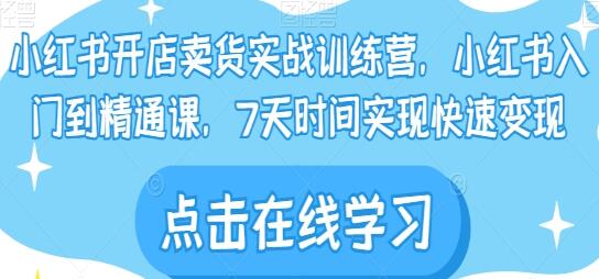 小红书开店卖货实战训练营，小红书入门到精通课