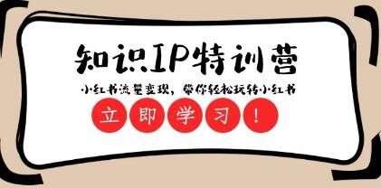 掌握小红书流量变现秘籍：《知识IP特训营》让你轻松驾驭