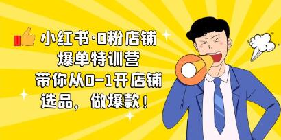 小红书·0粉店铺爆单特训营 带你从0-1开店铺，选品，做爆款（课程+工具包）